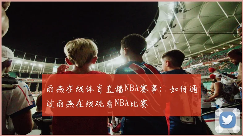 雨燕在线体育直播NBA赛事：如何通过雨燕在线观看NBA比赛