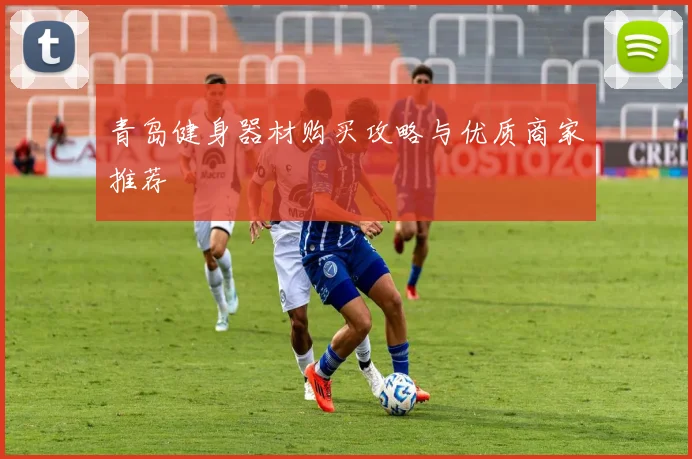 青岛健身器材购买攻略与优质商家推荐